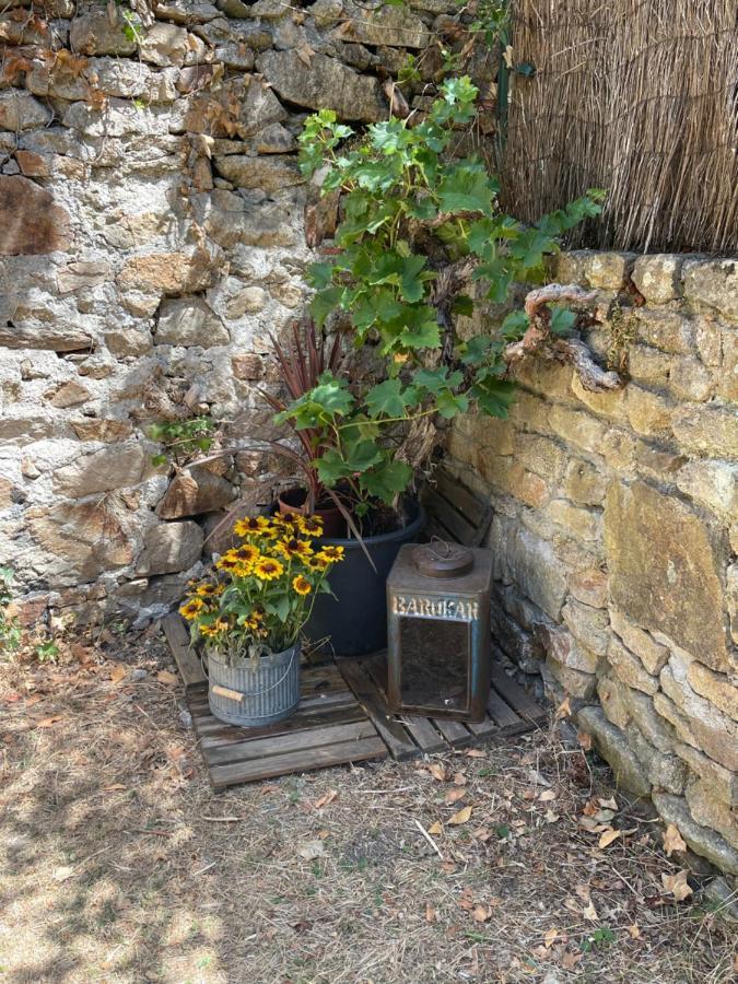 Le Patio, Coeur De Ville Avec Garage Et Jardin 반느 외부 사진